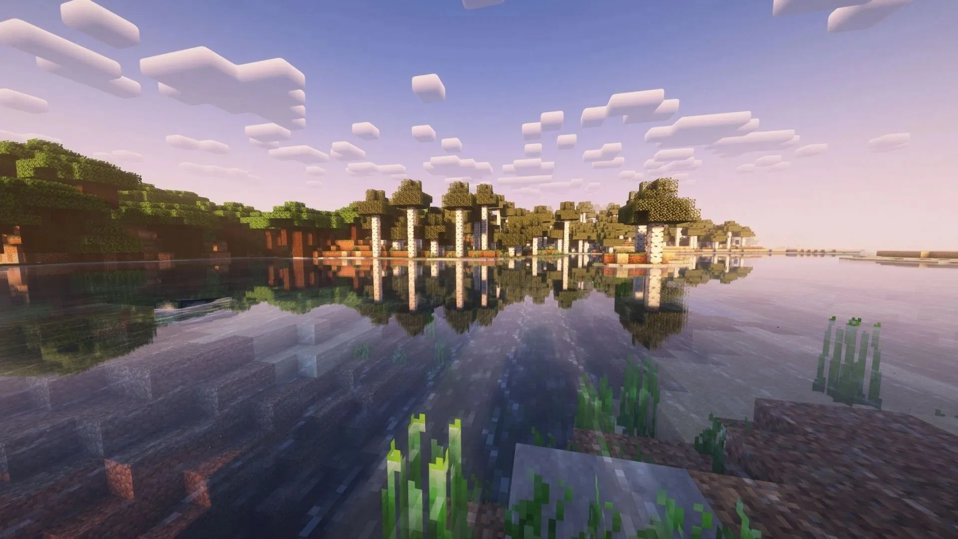 Best Features of Minecraft 1.21 Shader