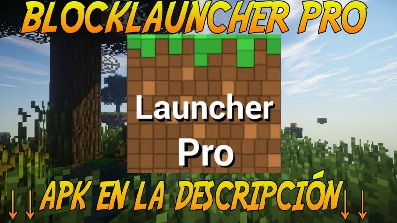 What is BlockLauncher Pro APK?