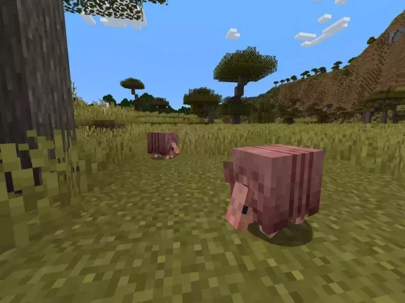 Armadillo là động vật mới xuất hiện trong Minecraft 1.21.0 Tiếng Việt Apk