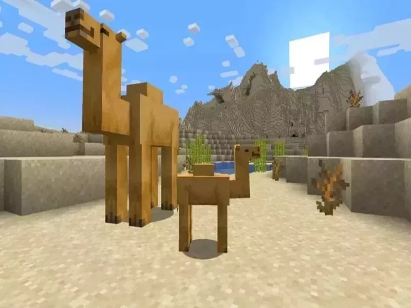 Sự thay đổi của lạc đà trong Minecraft 1.20 Tiếng Việt