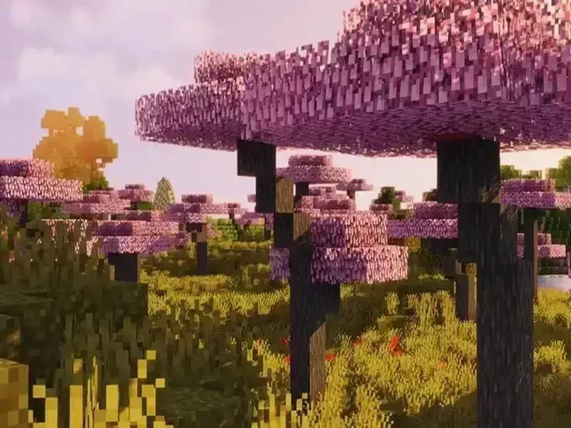 Xuất hiện quần xã rừng anh đào trong Minecraft 1.20 Apk