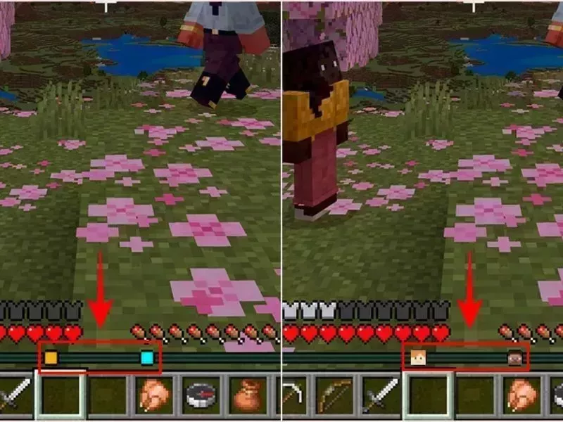 Thanh Locator Bar Trong Minecraft 1.21.81