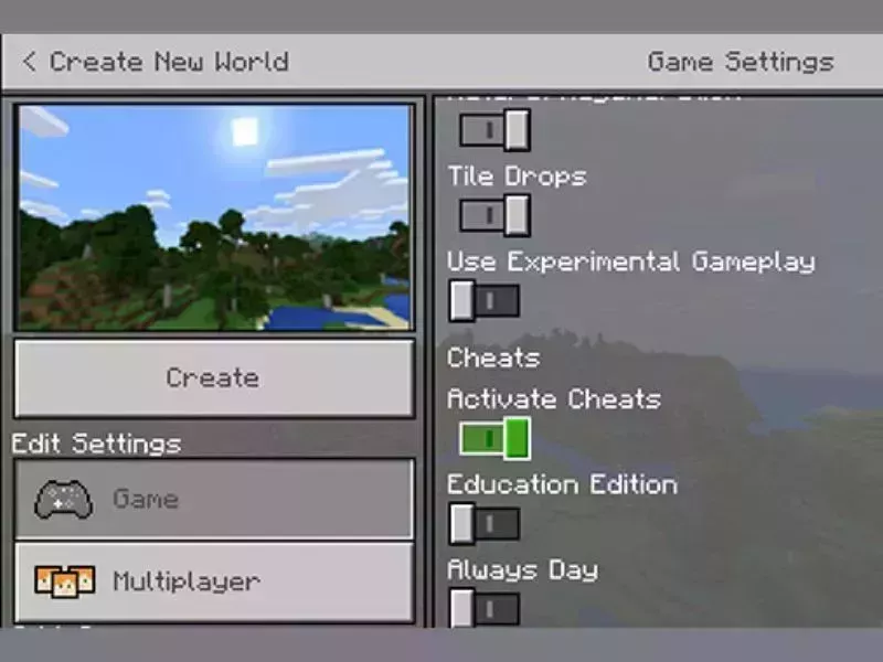 Các Bước Kích Hoạt Lệnh Minecraft PE